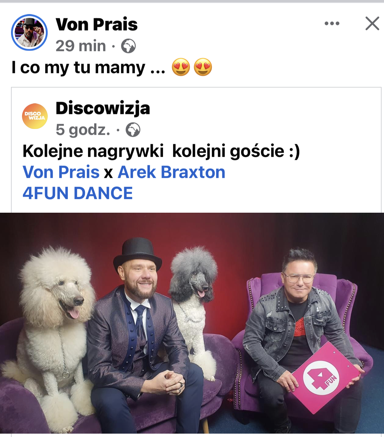 Czarny pudel - elegancja